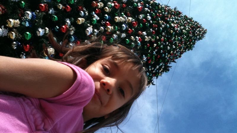 Arizona's Tallest Christmas Tree in Anthem AZ